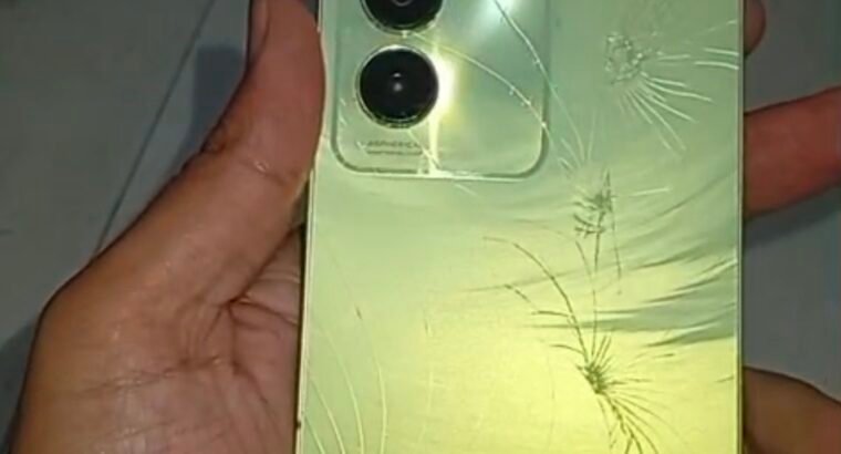 vivo y100