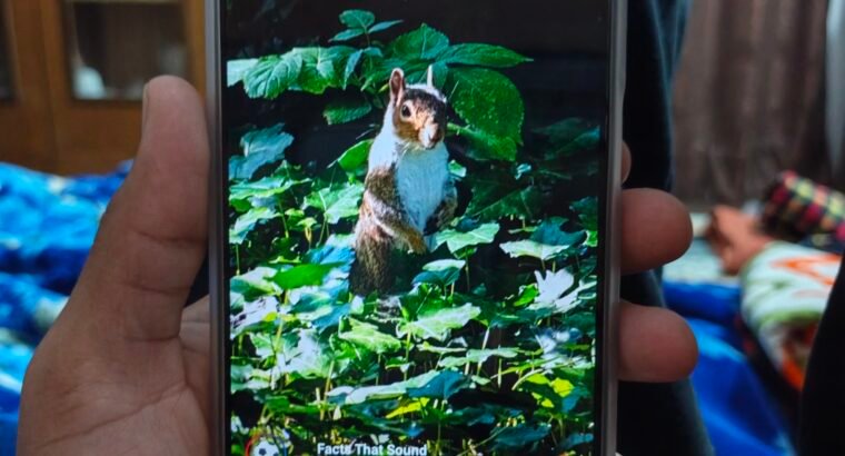 Realme c100i 10 by 10 condition no fault only 15 days used