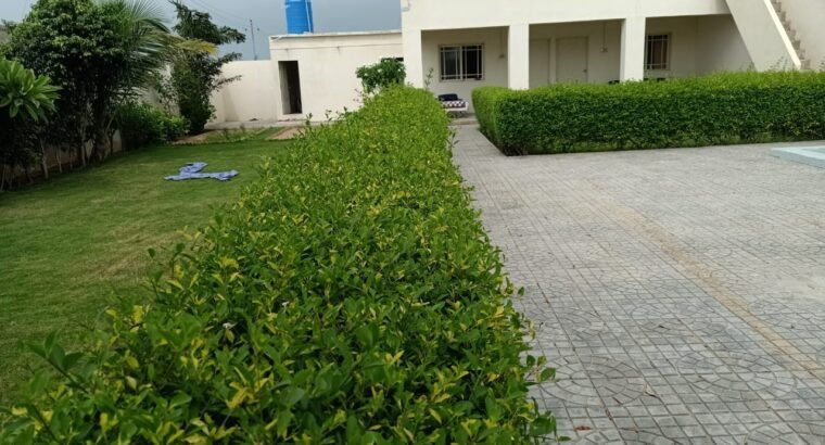 Beautiful Farm House Available for Sale in Saeed Goth