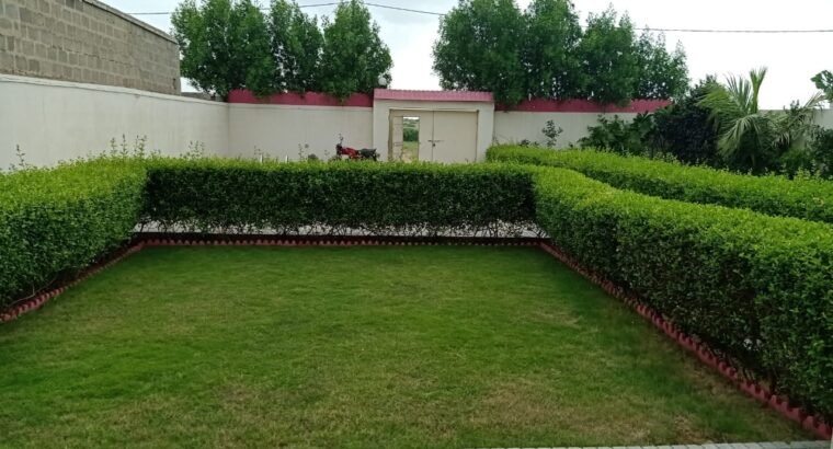 Beautiful Farm House Available for Sale in Saeed Goth